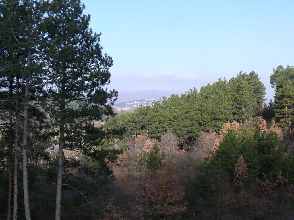 Bella Vista Apartments Ohrid Luaran gambar